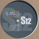 Celi Bee & The Buzzy Bunch - One Love /  Superman - Simply Vinyl (S12) - Disco