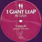 1 Giant Leap - My Culture - Palm Pictures - House