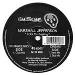 Marshall Jefferson - I Got Da Feeling - Strawberry Records - US House