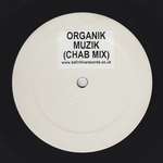 Organik  - Muzik - Not On Label - Progressive