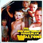 The Dysfunctional Psychedelic Waltons - All Over My Face - Meanwhile... - House