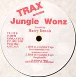 Jungle Wonz - Bird In A Guilded Cage - Trax Records - Chicago House