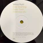 Venus Hum - Soul Sloshing - BMG UK & Ireland - Down Tempo