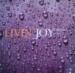 Livin' Joy - Dreamer - MCA Records - UK House