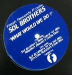 Sol Brothers - What Would We Do? - Fresh - House