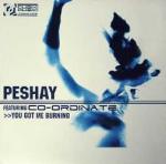 Peshay & Co-Ordinate - You Got Me Burning / Fuzion - Cubik Music Productions - Drum & Bass