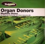 Organ Donors - Rhythms Divine - Nukleuz - Trance