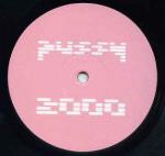 Pussy 2000 - Ain't No Love Around The World / Funky Music - Spacefunk Recordings - UK House