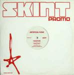 Artificial Funk - Together - Skint - UK House