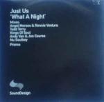 Just Us - What A Night  - (DISC 1 ONLY) - Sound Design - UK House