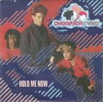 Thompson Twins - Hold Me Now - Arista - Synth Pop