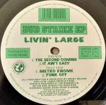 Livin' Large - Dub Strike EP - Rise 'n' Shine - UK Garage