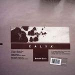 Calyx - Double Zero - Audio Couture - Drum & Bass