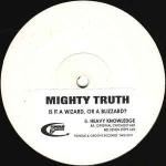 Mighty Truth - Is It A Wizard, Or A Blizzard? - Tongue And Groove Records - Trip Hop