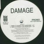 Damage - What U C (Iz What U Get) - Big Life - Hip Hop