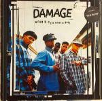 Damage - What U C (Iz What U Get) - Big Life - Hip Hop