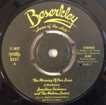 Jonathan Richman & The Modern Lovers - The Morning Of Our Lives / Roadrunner (Thrice) - Beserkley - Punk