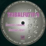 Tribalfusion - Buddhas Groove - Purple Tracks - US House