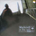 Gemo & Fabrice & Streetvibes - Walking In The Rain (The French Remixes) - Full House - Tech House