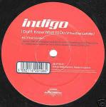 Indigo (12) - I Don't Know What I'd Do (If You Ever Left Me) - Euphoric - UK House