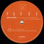 Deep Zone - It's Gonna Be Alright - Pukka Records - UK House