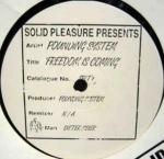 Pounding System  - Freedom Is Coming - Solid Pleasure - Deep House