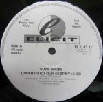Suzy Shoes - Understand Our Destiny - Elicit - UK House