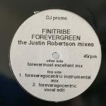 Finitribe - Forevergreen (The Justin Robertson Mixes) - One Little Indian - Progressive