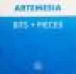 Artemesia - Bits + Pieces - Hooj Choons - Techno