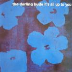 The Darling Buds - It's All Up To You - Native Records - Indie Dance
