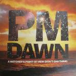 P.M. Dawn - A Watcher's Point Of View (Don't Cha Think) - Gee Street - Hip Hop