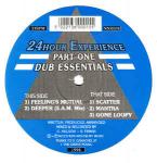 24Hour Experience - Part One: Dub Essentials - Nice 'N' Ripe - UK Garage