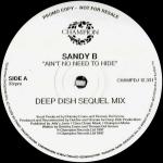 Sandy B - Ain't No Need To Hide - (DISC 1 ONLY) - Champion - Progressive
