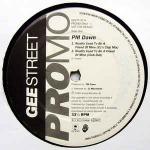P.M. Dawn - Reality Used To Be A Friend Of Mine - Gee Street - UK House