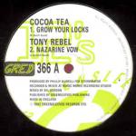 Cocoa Tea & Tony Rebel - Grow Your Locks - Greensleeves Records - Reggae