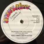 World Famous Lobster Allstars - Working For Love Again - Streetwave - Electro