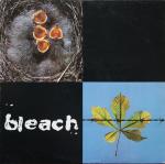 Bleach  - Bleach - Artlos - Indie