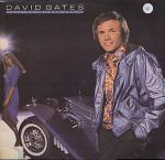 David Gates - Falling In Love Again - Elektra - Rock