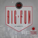 Inner City - Big Fun - 10 Records - US House