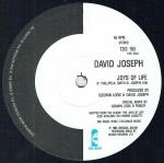 David Joseph - Joys Of Life - Island Records - Soul & Funk