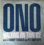 Yoko Ono - Walking On Thin Ice - Mind Train Records - House