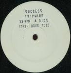 Success - Tripwire - Native Records - Acid House