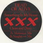 Dead Or Alive - Something In My House (XXX Clean And Dirty) - Epic - Disco