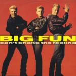 Big Fun - Can't Shake The Feeling - Jive - Pop