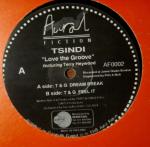 Tsindi & Terry Heywood - Love The Groove - Aural Fiction - Progressive