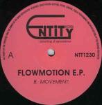 B. Movement - Flowmotion E.P. - Entity Records - UK Techno