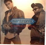 Mantronix - Simple Simon - 10 Records - Old Skool Electro