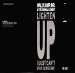 Wally Jump Jr & The Criminal Element - Don't Push Your Luck - A&M Records - UK House