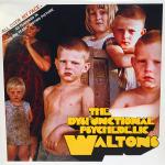 The Dysfunctional Psychedelic Waltons - All Over My Face - Meanwhile... - UK House