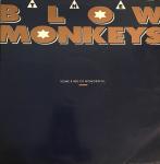 The Blow Monkeys - Some Kind Of Wonderful - RCA - Soul & Funk